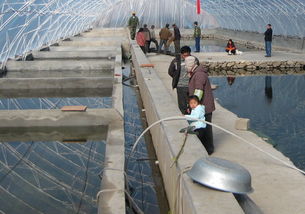 農(nóng)豐8號水產(chǎn)養(yǎng)殖怎么樣