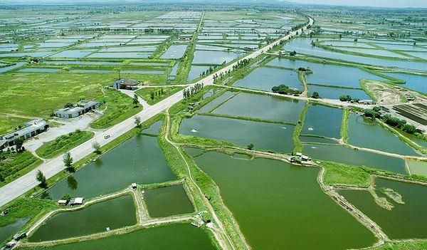 最好就業的農林牧漁大類十大專業