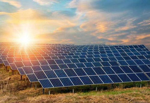 水產大王的逆襲 30年前破四川養魚紀錄,30年后威震中美科技圈