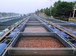 正大水產養(yǎng)殖