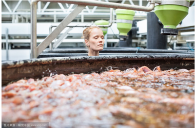 水產養(yǎng)殖學的就業(yè)前景怎么樣?詳解行業(yè)環(huán)境與發(fā)展前景