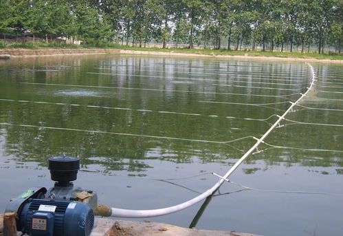 水產(chǎn)養(yǎng)殖羅茨風(fēng)機(jī)增氧技術(shù)介紹