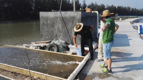 關注 還記得讓天敵共存的 共享池塘 嗎 這項養殖 黑科技 入選省重點研發計劃項目啦