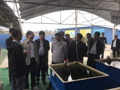 全國水產(chǎn)技術(shù)推廣總站張鋒書記到晉江福大鮑魚水產(chǎn)調(diào)研