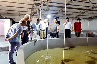 【熱點】山東省科協(xié)助力創(chuàng)新驅(qū)動發(fā)展行動走進無棣縣現(xiàn)代海洋漁業(yè)協(xié)同創(chuàng)新基地