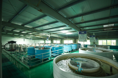 國(guó)家&ldquo;藍(lán)色糧倉(cāng)&rdquo;重點(diǎn)專項(xiàng)項(xiàng)目 2021年度總結(jié)會(huì)議召開(kāi)