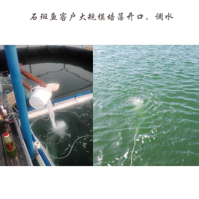 小球藻柵藻營養鹽快速穩定擴培