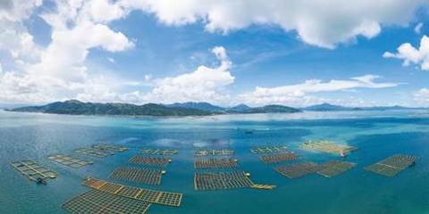 黃海水產(chǎn)研究所3項技術(shù)入選農(nóng)業(yè)農(nóng)村部2023年農(nóng)業(yè)主推技術(shù)