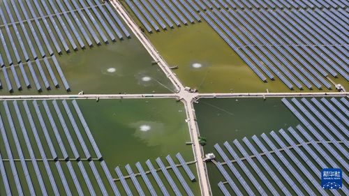 水上光伏 漁光一體 低碳發展