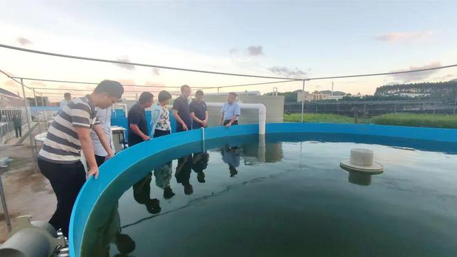 技術(shù)大拿間的&ldquo;夢幻聯(lián)動(dòng)&rdquo;!海之味與集美大學(xué)水產(chǎn)學(xué)院達(dá)成戰(zhàn)略合作,開啟牛蛙技術(shù)研發(fā)新篇章