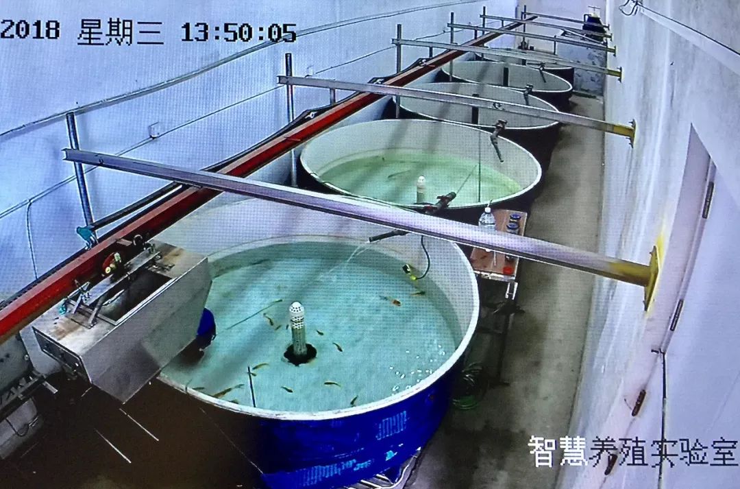 全國媒體看煙臺!海洋強(qiáng)市的&ldquo;煙臺范兒&rdquo;占據(jù)頭條!