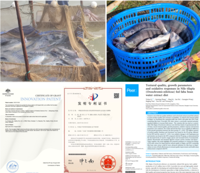 中國水產(chǎn)科學研究院珠江所養(yǎng)殖室團隊研發(fā)成果助推脆肉羅非魚產(chǎn)業(yè)發(fā)展