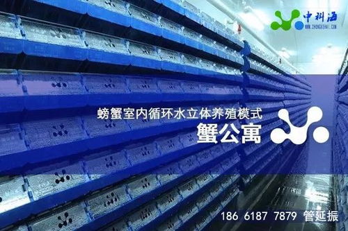 4月 金磚 水產(chǎn)盛會邀請函 這些先進的養(yǎng)殖設(shè)備和技術(shù)將集體亮相廈門