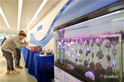 湛江蠔產(chǎn)業(yè)技術研究院揭牌成立