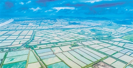 我市又一項省重點領域研發(fā)計劃項目落地實施 助推水產(chǎn)養(yǎng)殖朝工業(yè)化方向發(fā)展