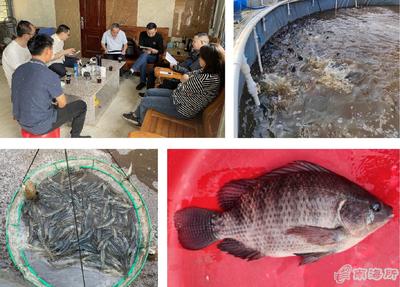 南海所&ldquo;高密度對蝦+海水羅非魚異位串聯(lián)的生物絮團零換水養(yǎng)殖技術&rdquo;試驗示范通過測產(chǎn)驗收