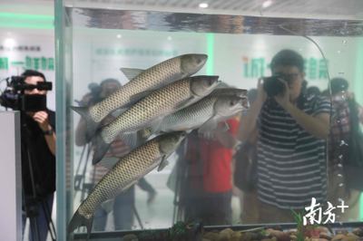 從南沙科學城到生命科學城,科創(chuàng)高地為何如此重視農業(yè)?