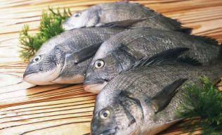 水產品中應檢測哪些違規(guī)藥品