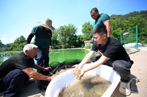 重慶巴南 水產養(yǎng)殖助增收
