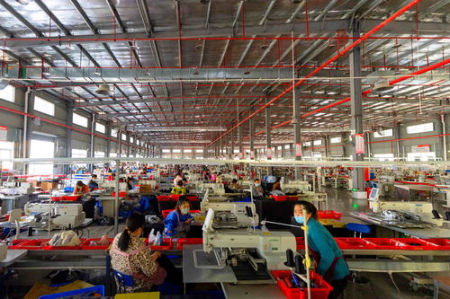 珠遵協(xié)作產業(yè) 聯(lián)姻 深化 4個 ,共譜山海情