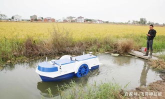江蘇這個小伙厲害了,喂養水產用上 無人船 ,拿著手機等豐收