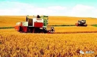 今年農(nóng)業(yè)整體呈現(xiàn)'四漲一降'態(tài)勢(shì)，水產(chǎn)養(yǎng)殖表現(xiàn)突出